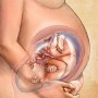 Позитивное видео о беременности