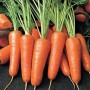 Чем полезна морковь для детей. Фото
