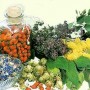 На фото показаны лекарственные растения