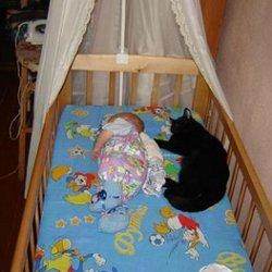 новорожденный и кошка фото